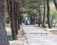 Территория