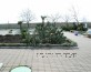 территория