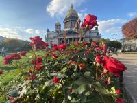 Каталог экскурсий Петербург Лайт (май-октябрь)