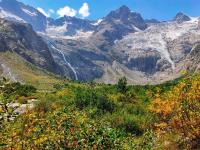 Каталог экскурсий Альпийские луга Дигории