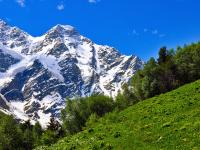 Каталог экскурсий Альпийские дали Домбая: путешествие в мир высокогорных приключений