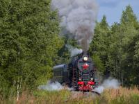Каталог экскурсий Карельские пейзажи на ретропоезде (лето)