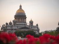 Каталог экскурсий Незабываемые дни на берегах Невы (октябрь-апрель)