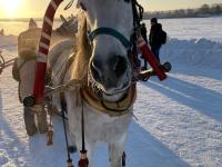 Каталог экскурсий ТУРПОЕЗД «Сказочный экспресс к Деду Морозу в Великий Устюг» из Москвы