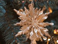 Каталог экскурсий Новый год в Переславле-Залесском (Переславль 3*)