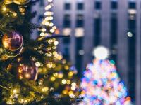 Каталог экскурсий Новогодние каникулы у Гадюки Васильевны и Змея Горыныча