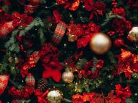 Каталог экскурсий Гастрономический тур с дегустациями (отель 4*)