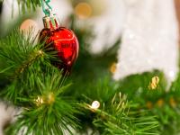 Каталог экскурсий Рождество в Костроме (отель 3*)