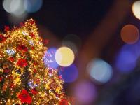 Каталог экскурсий Русское Рождество: Шуя и Палех