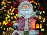 Каталог экскурсий Душевный новый год в Коломне (Коломна 3*)