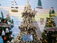 Каталог экскурсий ТУРПОЕЗД «Мороз-экспресс к Деду Морозу из Москвы (Плацкарт)»