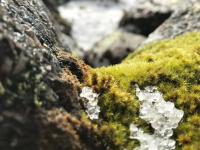 Каталог экскурсий В Мурманске весна