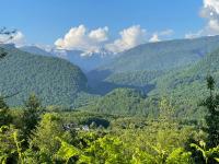 Каталог экскурсий Королевство Мимоз