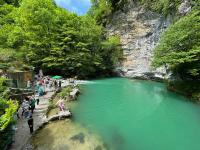 Каталог экскурсий Ароматы первоцветов