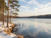 Каталог экскурсий Новогодние открытки с Валдая