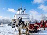 Каталог экскурсий Новогодние приключения в Царстве Жар-птицы
