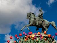 Каталог экскурсий 8 марта в Петербурге