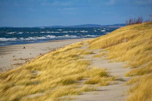 MULTITOUR.ru - экскурсия В Калининград в любой день. Цикличный тур (ноябрь-март), дата заезда: 28.02.2026, продолжительность, дни/ночи: 2/1