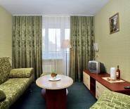 hotel 4976 42h mestniy lyuks gostinaya