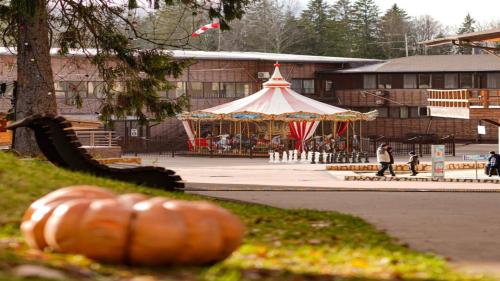 Русские Сезоны Пересвет 