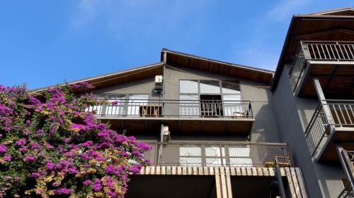 Аимара (Aimara) 