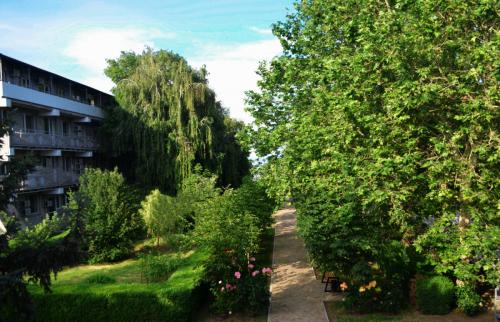 Южный берег 