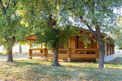 Синяя птица 