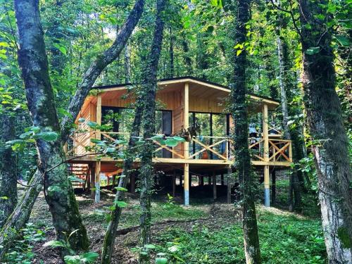 Garuda Glamping ( Гаруда Глемпинг) 