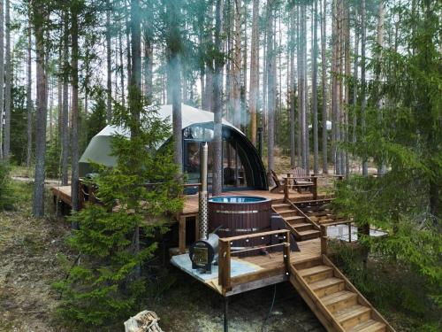 Forest Lake (Форест Лэйк) 