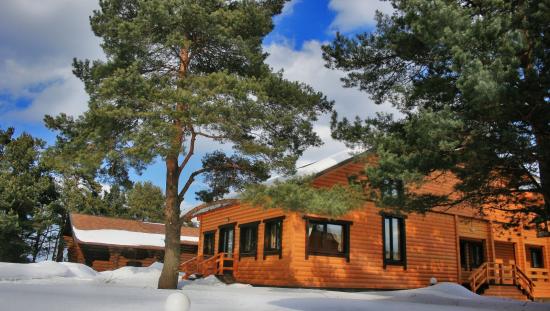 территория