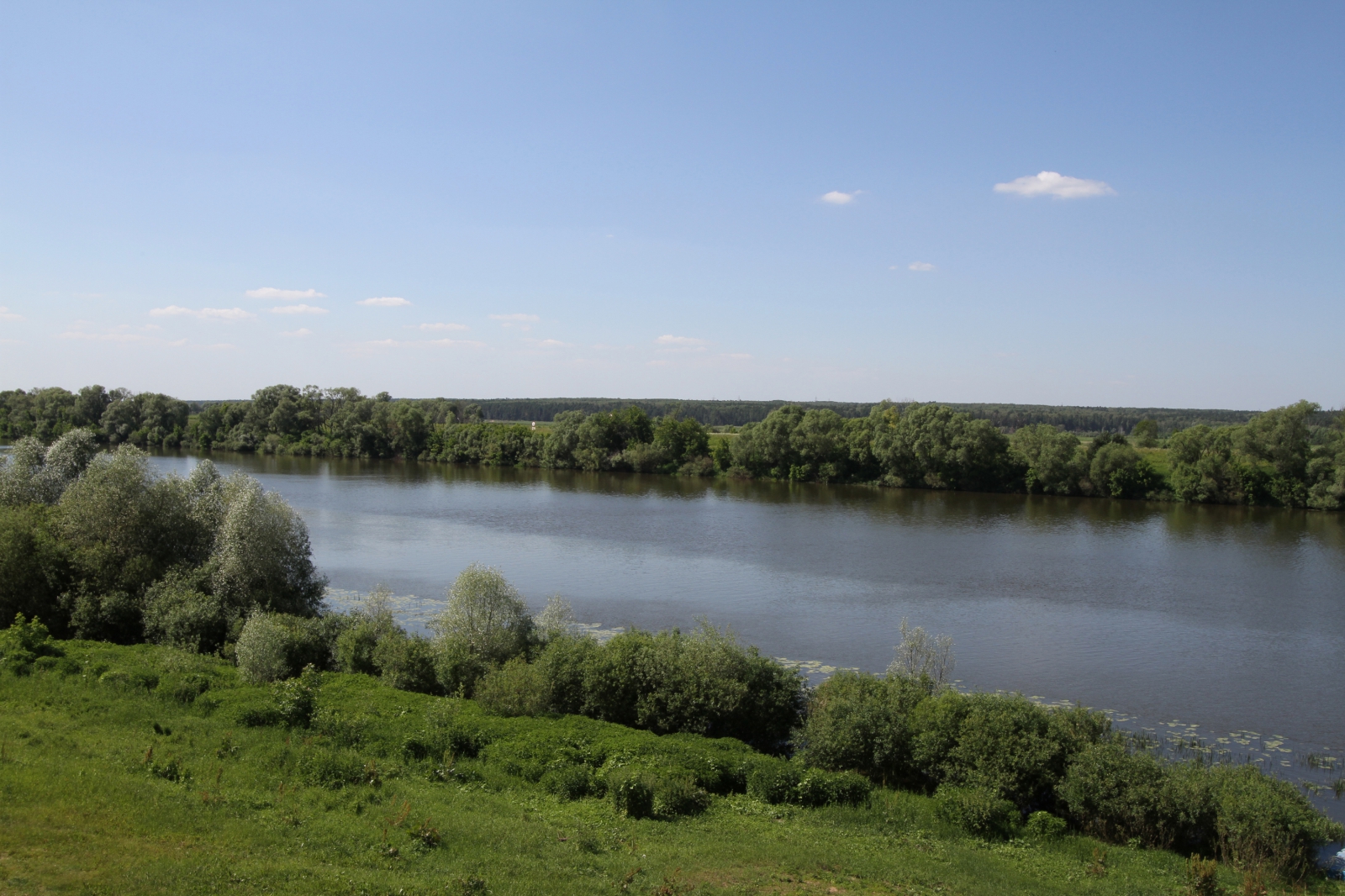 Берег реки оки