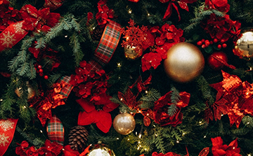 Гастрономический тур с дегустациями (отель 4*)