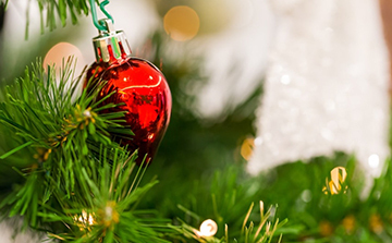 Рождество в Костроме (отель 3*)