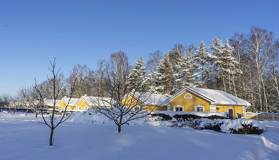Барская усадьба, Тверская область, Старицкий район, Волга